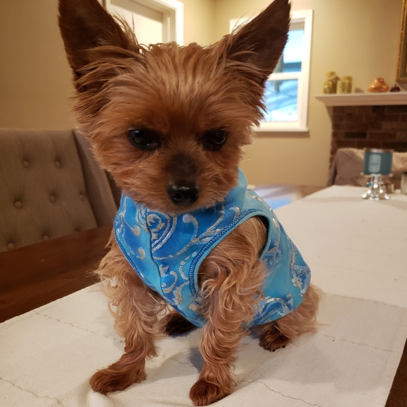 Host Pick 🤩🐕🥰 "Good Karma" Doggo Shirt - Picture 3 of 12